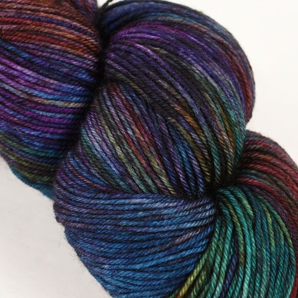 In The Whirled Pakokku Sock Yarn SW Merino Nylon 460 Yds Element Number Five - Picture 2 of 3